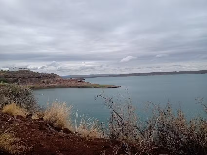 Estaci&oacute;n saludable