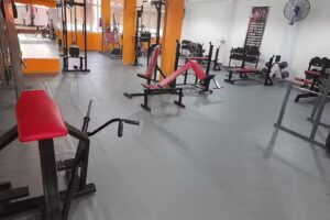 Estilo GYM