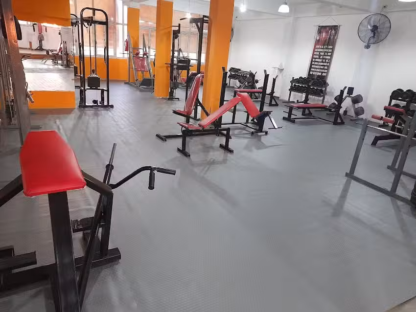 Estilo GYM