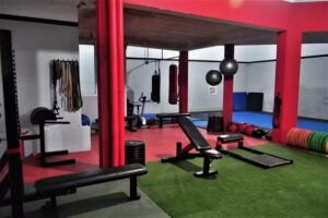 Evoluci&oacute;n Fitness