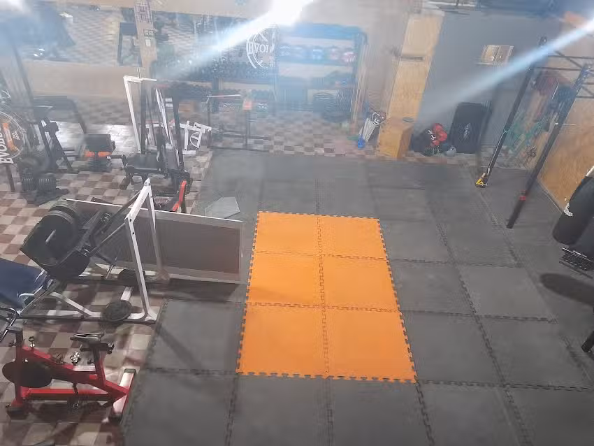 Evoluci&oacute;n Gimnasio