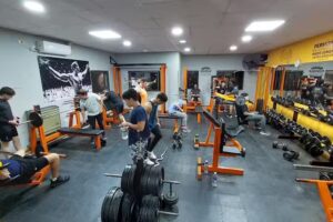 Evolution Fitness