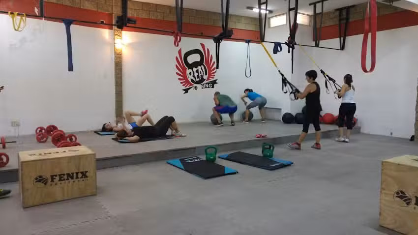 EVOLUTION FITNESS GYM