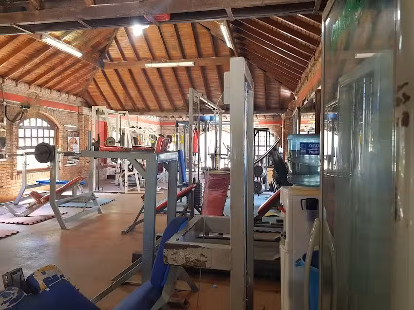 Evolution Gym