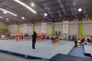 Federacion Entrerriana de Gimnasia