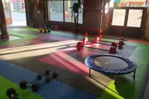 F&eacute;nix centro de entrenamiento