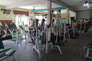 Fenix Gym