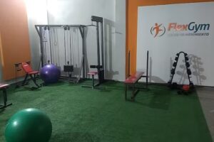 FlexGym