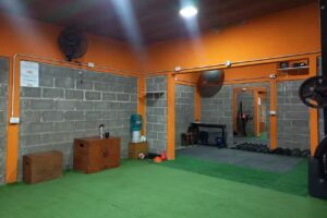 FORCE GYM