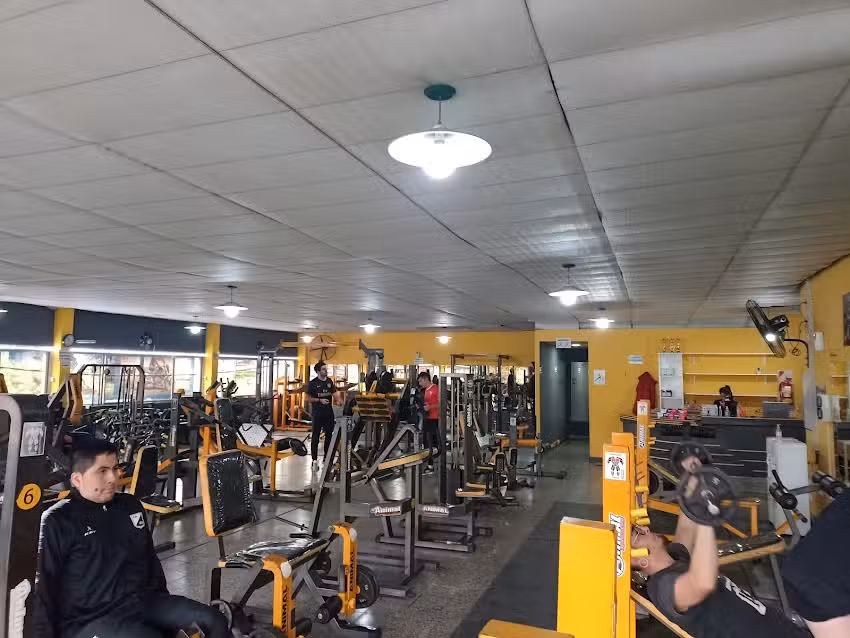 Force Muscle & Fitness GYM