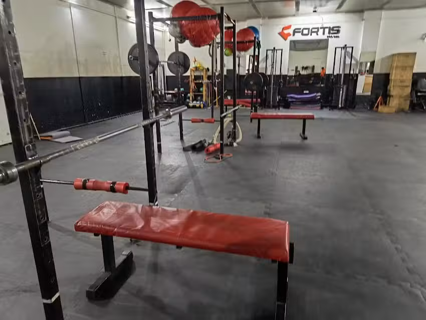 Fortis Ego Sum sede Km8