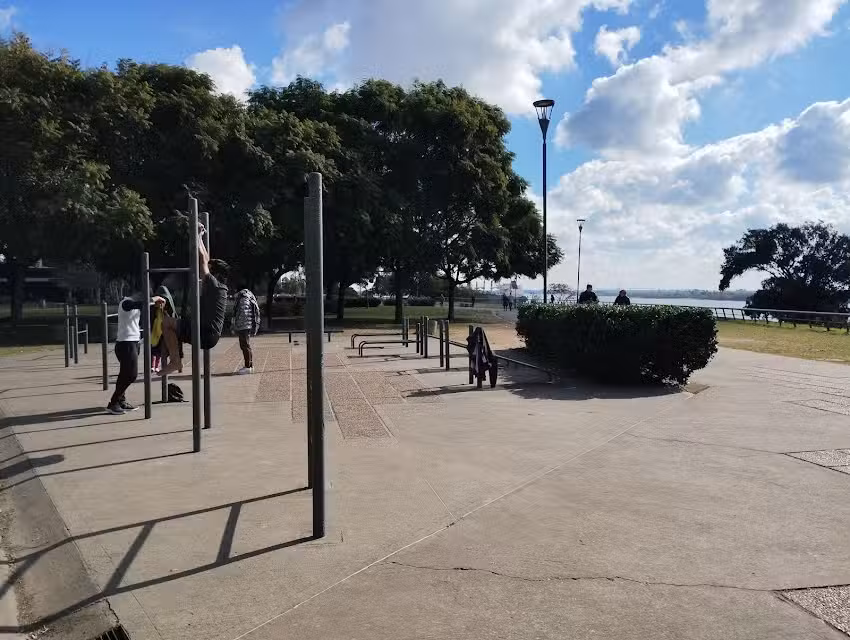 Fuerza Urbana &ndash; Street Workout y Calistenia