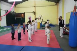 Gimnasia Artistica El Trebol