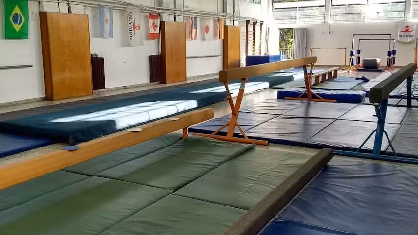 Gimnasia Art&iacute;stica OLYMPIC