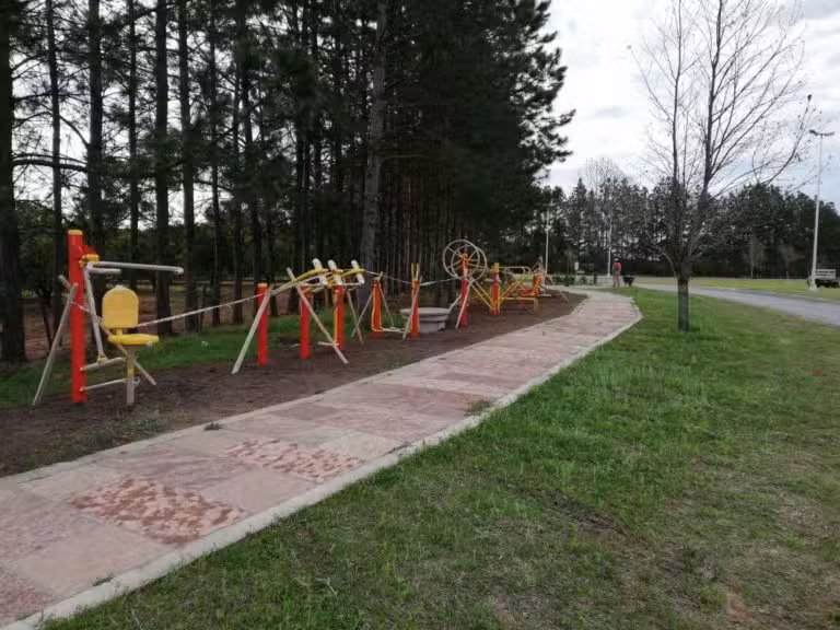 GIMNASIO A CIELO ABIERTO