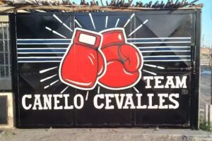Gimnasio Canelo cevalles 🥊