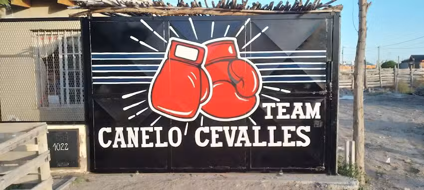 Gimnasio Canelo cevalles 🥊