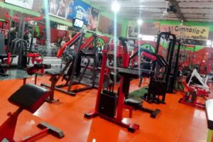 Gimnasio de Ercilia