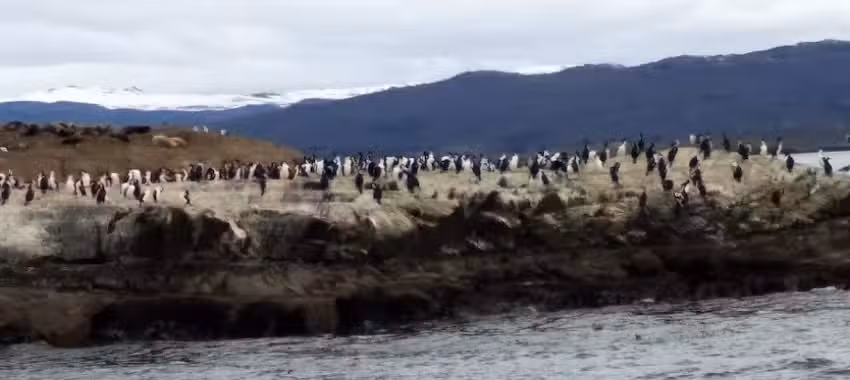 Gimnasio-Escuela N&deg;15-Centenario de Ushuaia