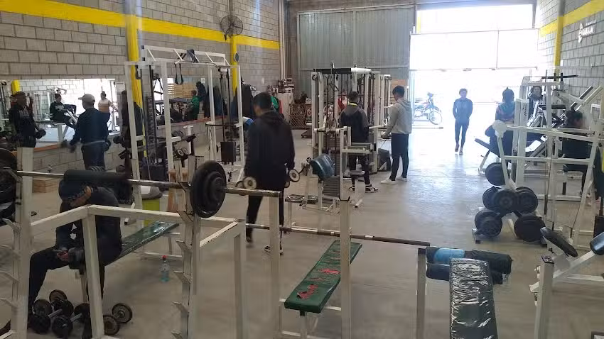 Gimnasio Evoluci&oacute;n