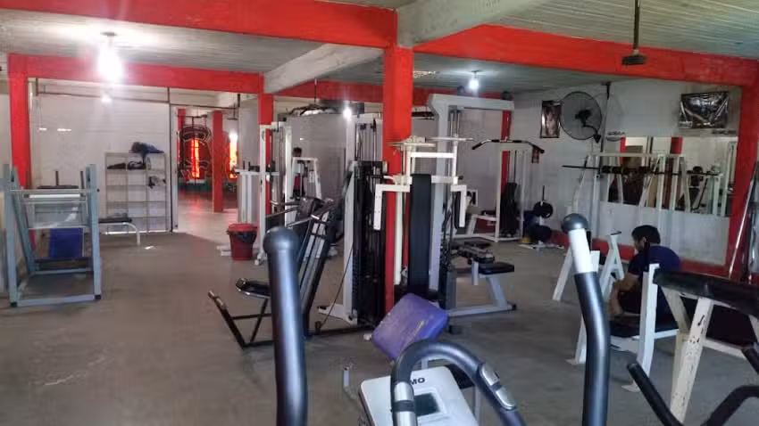 Gimnasio Fenix