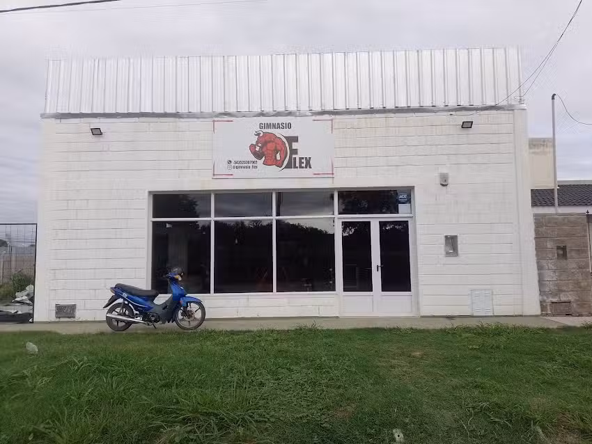 Gimnasio Flex