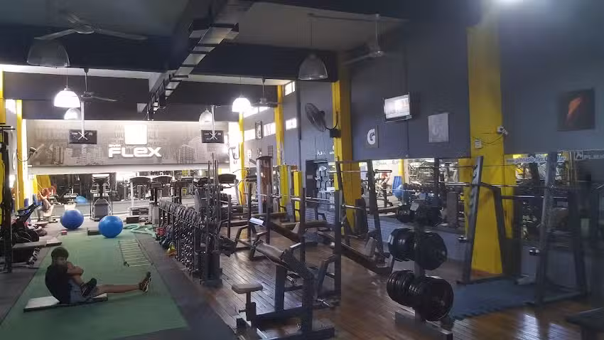 Gimnasio Flex