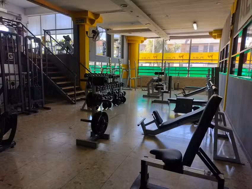 Gimnasio Flex &ndash; Libertad