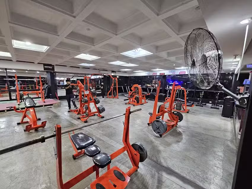 Gimnasio Fox Pinamar