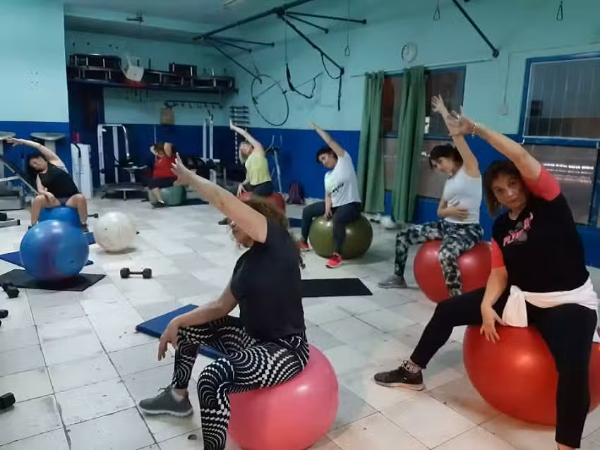 Gimnasio Free Live