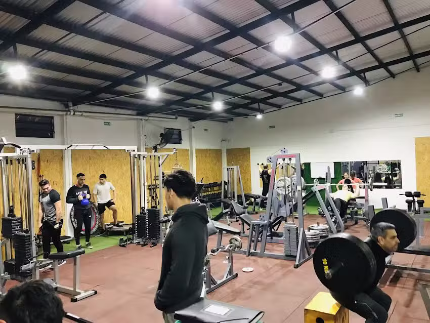 Gimnasio G72 la plata