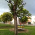 Gimnasio G&eacute;nesis