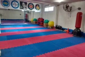 Gimnasio Lamadrid Salas