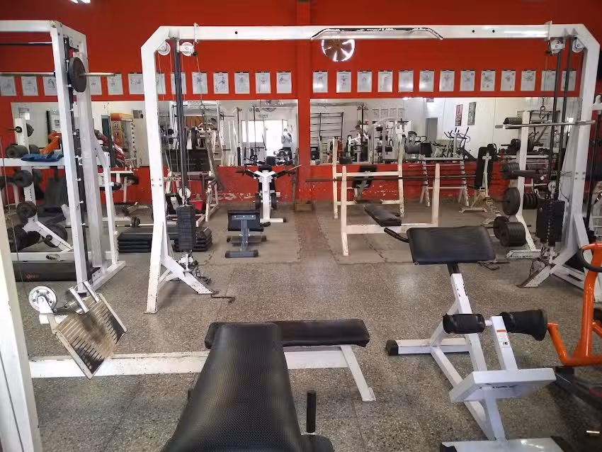 Gimnasio MK