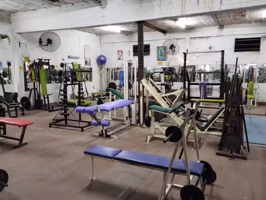GIMNASIO MONTANA