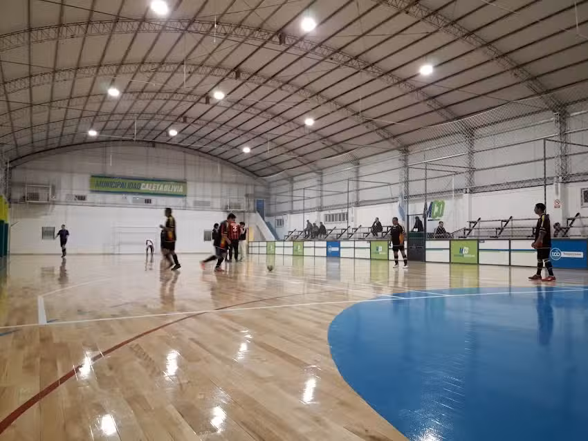 Gimnasio Municipal Enrique &lsquo;Chichino&rsquo; Iba&ntilde;ez