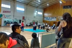 Gimnasio Municipal Puchito Otey