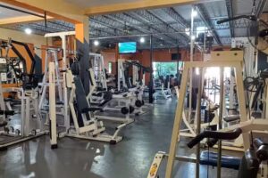 Gimnasio Muscle &ndash; Centro de Entrenamiento, Nutrici&oacute;n y Est&eacute;tica