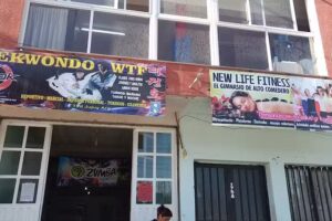 Gimnasio New Life Fitness
