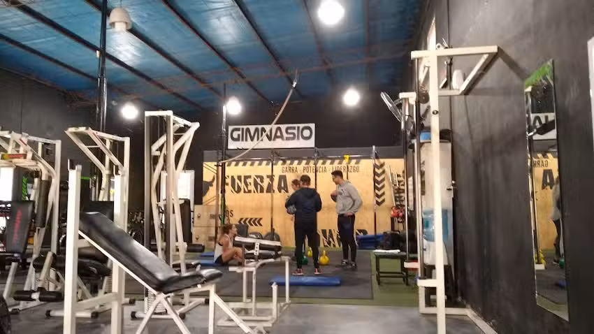 Gimnasio Tauro