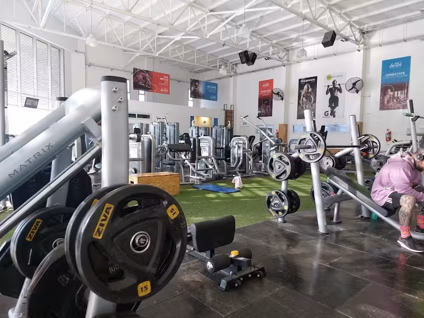 Gimnasio Terra Oeste