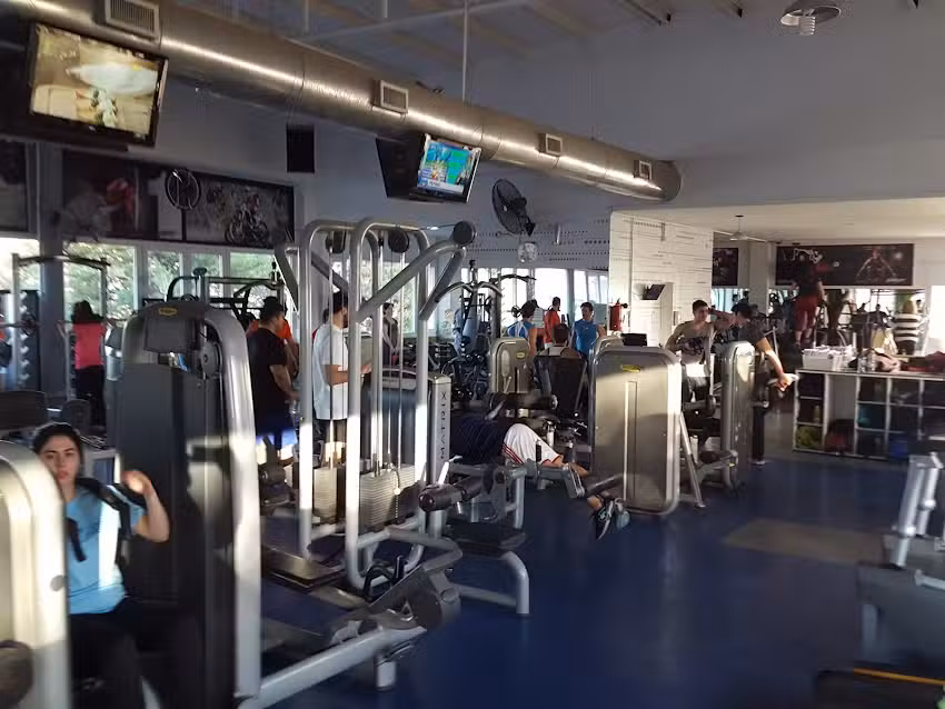 Gimnasio Terra Parque