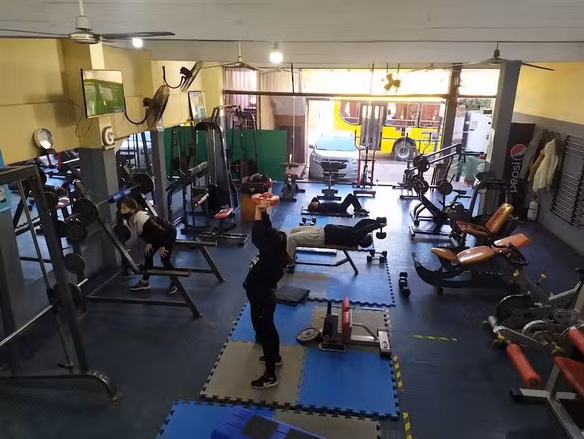 GIMNASIO ZEUS