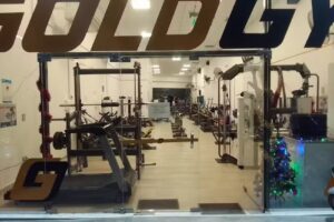 GOLD GYM