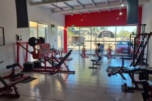 Grow Gym