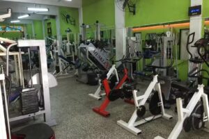 Gym &ndash; Body Shaping