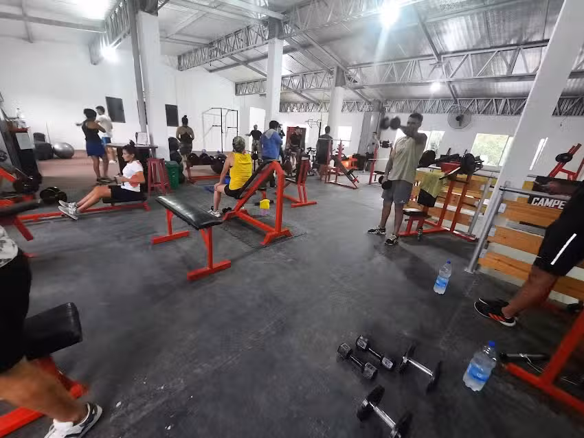 Gym de Campeones