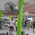 Gym Evolution Fitness