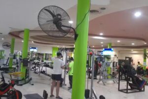 Gym Evolution Fitness