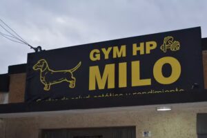 Gym HP Milo
